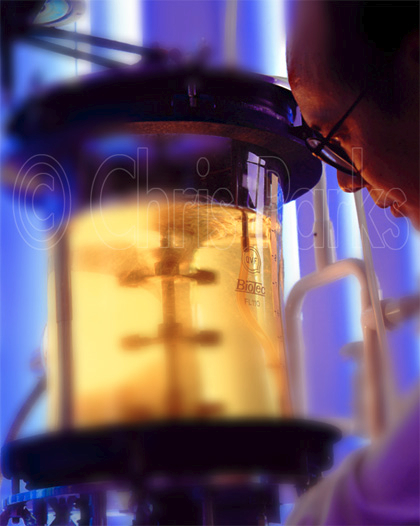 Loading Image