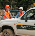 NZ-Forestry-01