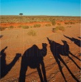 Camel-ride-01
