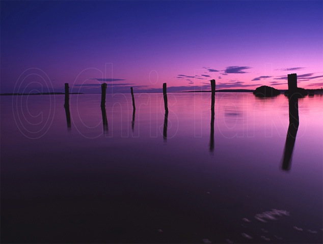 Loading Image