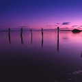 FrIsland-01