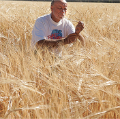 An-in-Barley